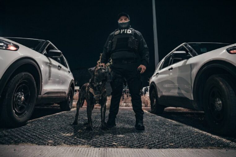 SINERGIA POR QUERÉTARO CONSOLIDA RESULTADOS OPERATIVOS MEDIANTE COORDINACIÓN INTERINSTITUCIONAL, CON 1,700 CATEOS EN EL ESTADO